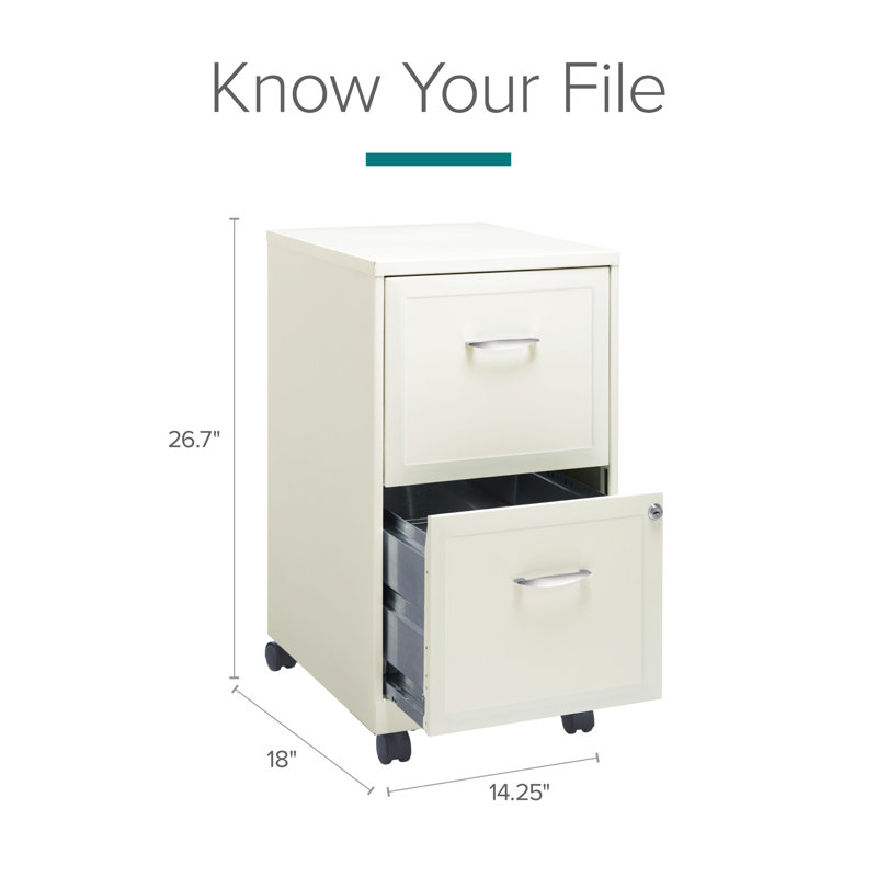 Inbox Zero Adelmis 2 Drawer Mobile Vertical Filing Cabinet Reviews Wayfair